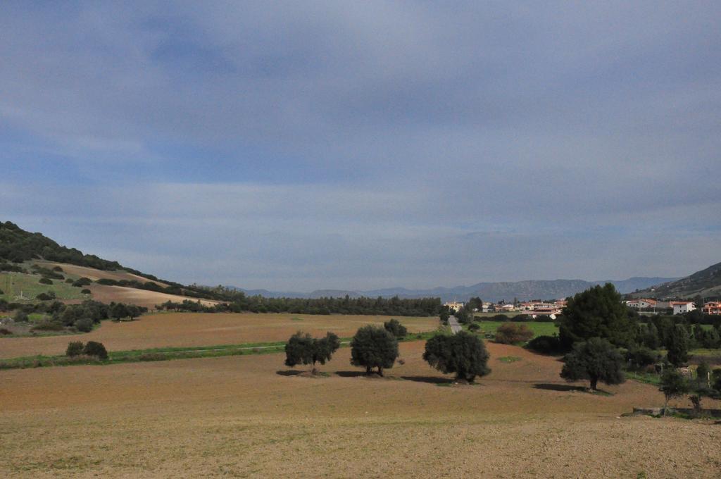 Farm stay Sa Scalitta Carbonia